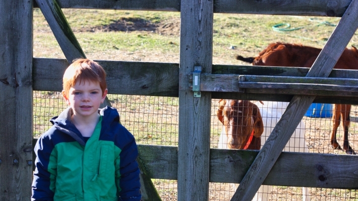 Nolan's Hop-a-thon Fundraiser Campaign