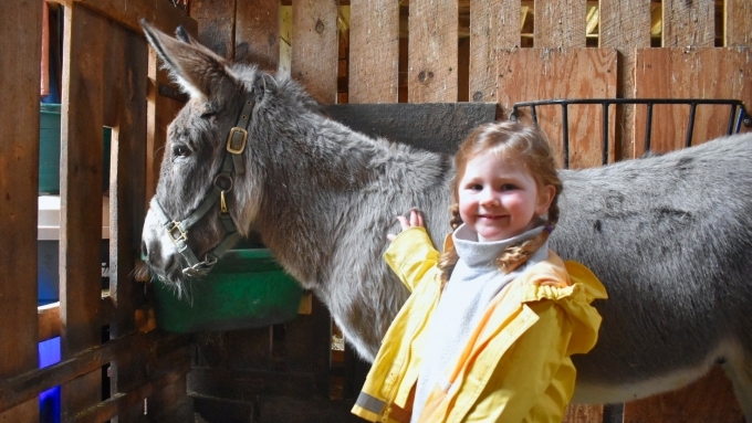 Maple's Hop-a-thon Fundraiser Campaign