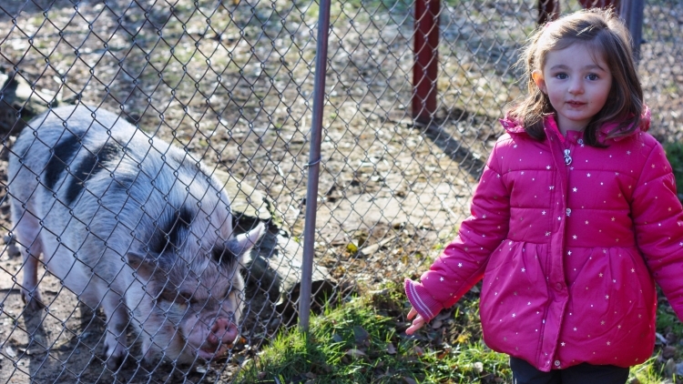 Juliet's Hop-a-thon Fundraiser Campaign