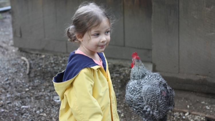 Tilly Lemaitre's Hop-a-thon Fundraiser Campaign