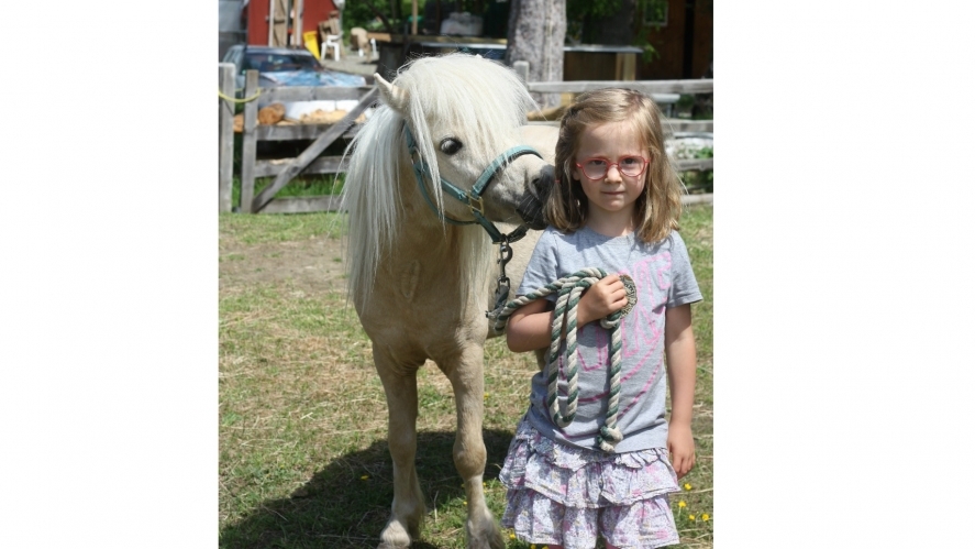 Sophia Mittelmeijer's Hop-a-thon Fundraiser Campaign