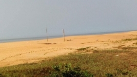 Help build a beach resort in Africa