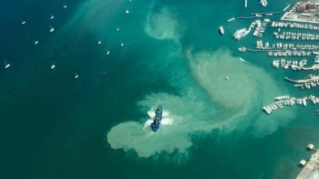 Stop the Dredging of La Paz Bay!